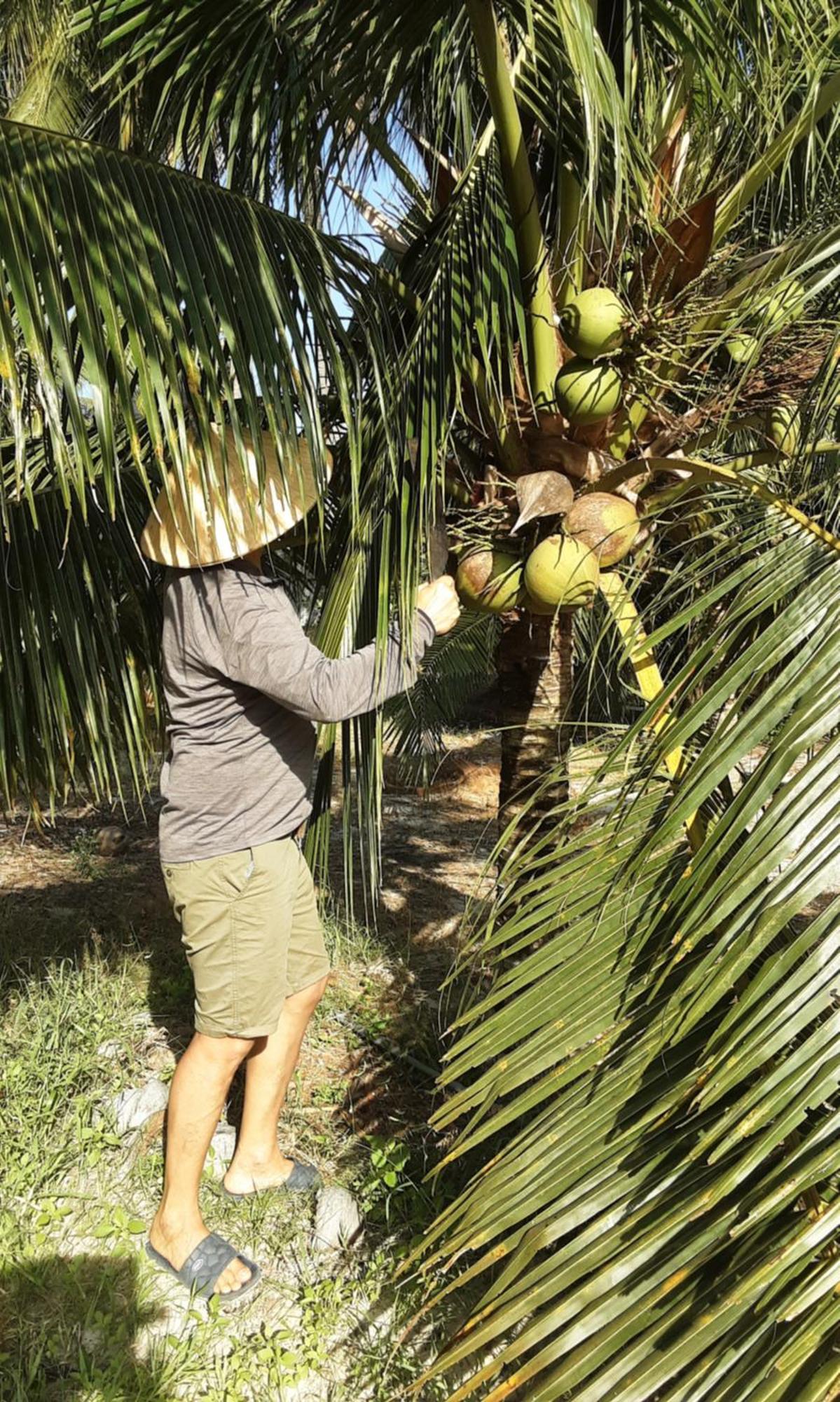 פאן ת'ייט Bonnie Homestay Mui Ne מראה חיצוני תמונה